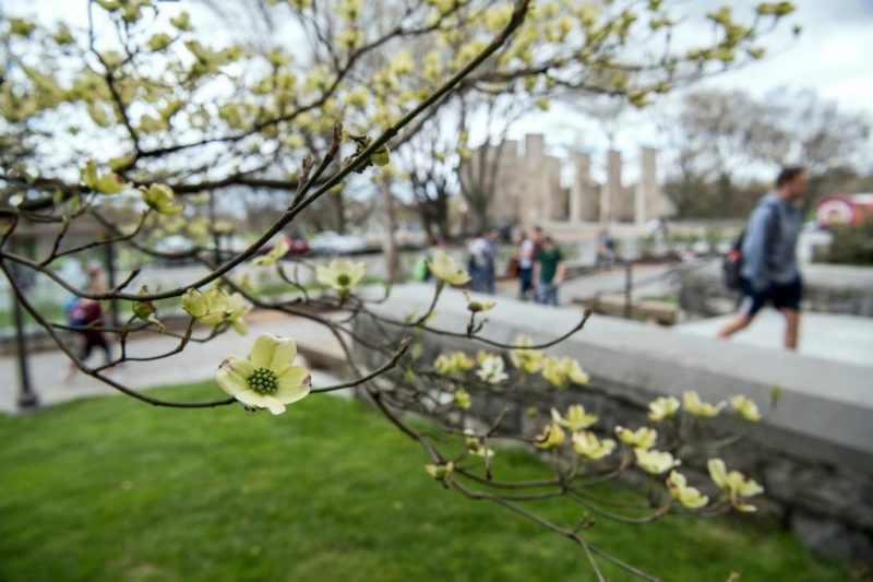 Grants support new faculty partnerships with HBCUs