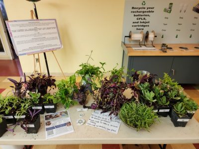 A table of various plants sit on a table with a sign to take one as part of Plantsgiving at the YMCA. 