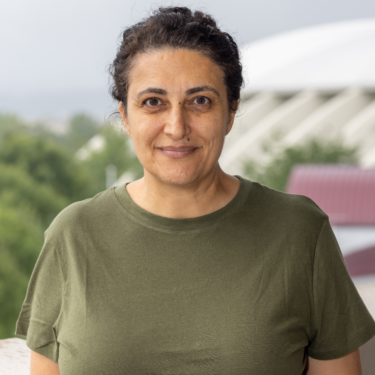 Tanyel Bulbul