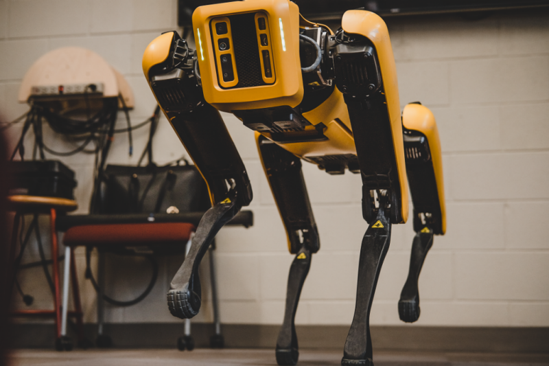 Spot, a yellow and black autonomous robot dog.